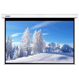 LW MPS-240M manual projector screen measuring 240 by 240 cm mounted in a large conference room for corporate events.
